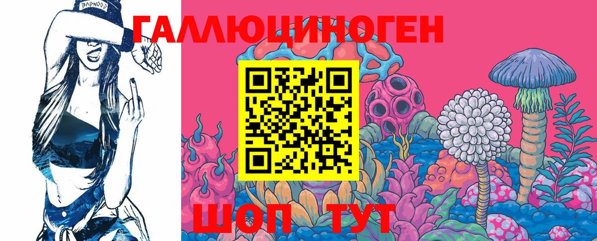 Кингисепп  Псилоцибиновые грибы Psilocybe  Вход с VPN  Галлюциногенные грибы GOLDEN TEACHER 